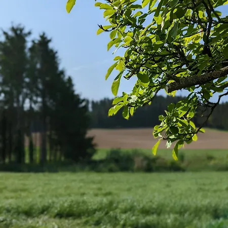 Daire Ferienunterkunft Heimatfleckerl Geisenhausen