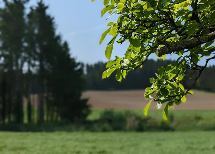 Διαμέρισμα Ferienunterkunft Heimatfleckerl Geisenhausen
